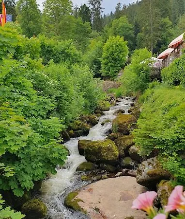 Apartmán My Am Heuberg Nr 6 Frittlingen